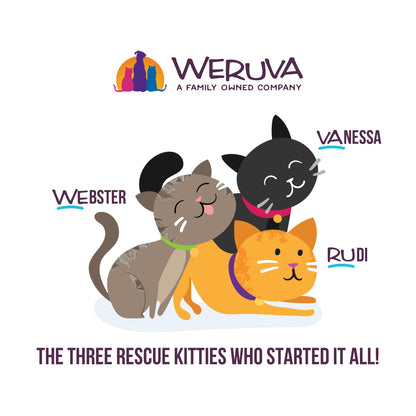 Weruva B.F.F. OMG - Best Feline Friend Oh My Gravy!, QT Patootie! with Chicken & Turkey in Gravy Cat Food, 5.5oz Can (Pack of 8)