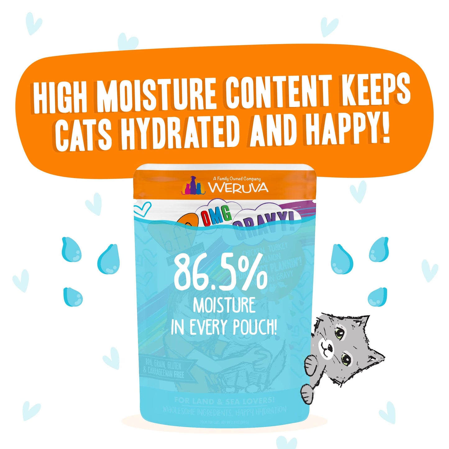 Weruva B.F.F. OMG - Best Feline Friend Oh My Gravy!, Purr-FECT Plannin'! with Chicken, Turkey & Salmon in Gravy Cat Food, 2.8oz Pouch (Pack of 12)