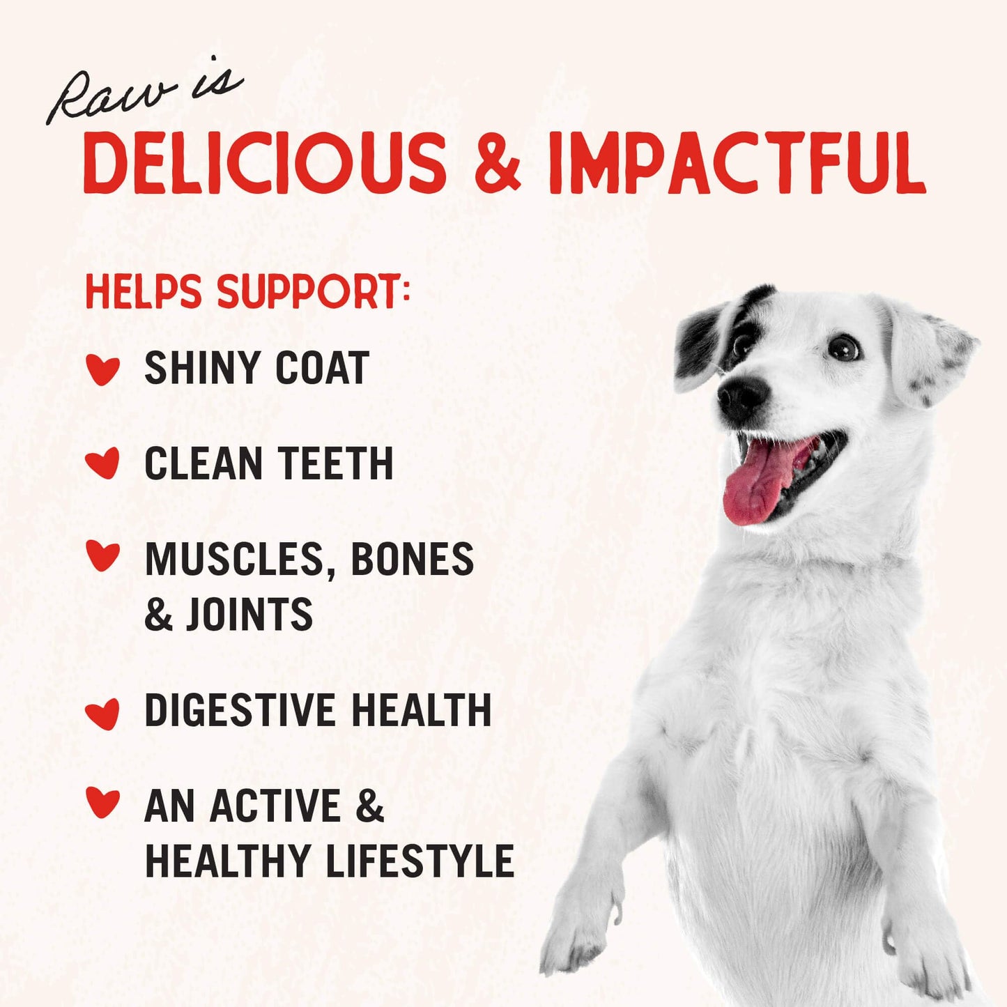 Stella & Chewy's Freeze-Dried Raw Beef Liver Dog Treats - Single Ingredient, No Additives - Premium Training Treats - Perfect For Picky Eaters - 3oz Bag