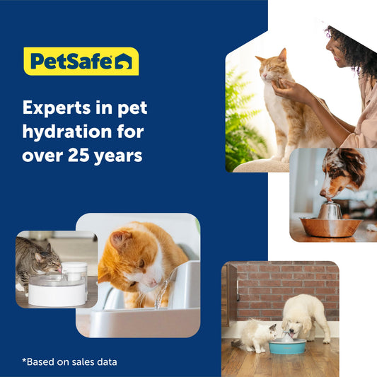 PetSafe ScoopFree Crystal Cat Litter & Refill Tray, Lavender Scent, 4.3 Lb Bag with Each Tray, Pack of 6