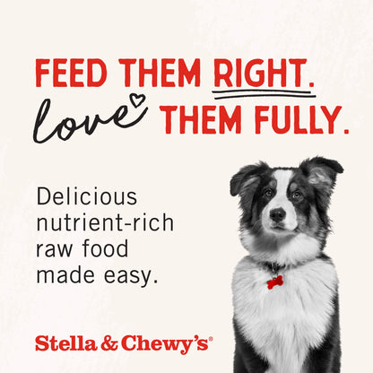 Stella & Chewy's Freeze-Dried Raw Beef Liver Dog Treats - Single Ingredient, No Additives - Premium Training Treats - Perfect For Picky Eaters - 3oz Bag