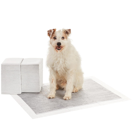 Amazon Basics XL Dog & Puppy Pee Pads (50 Pack) - Leak-Proof, Odor Control