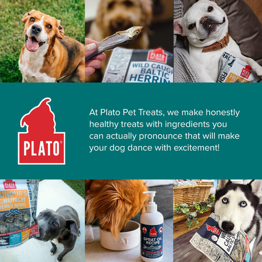 PLATO Pet Treats Fish Dog Treats - Air-Dried, Single Ingredient Dog Treat - with Omega 3 & 6 Fatty Acids to Support Skin and Coat - 100% Whole Fish - Wild Caught Baltic Herring Dog Treats - 3oz