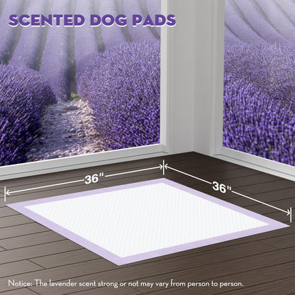 CROCI Dog Pads Lavender Scented 36x36in XXL Pee Pads with Odor Eliminating, Potty Pads Thicken Super Absorbent Up to 11 Cups Puppy Pads, Disposable (30 Counts) - topratednest