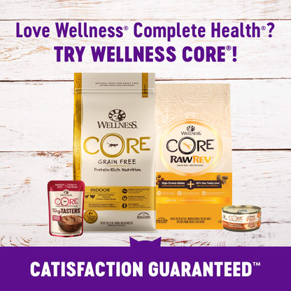 Wellness Kittles Natural Grain Free Salmon & Cranberries Cat Treats, 6 oz, Bag