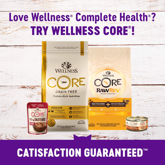 Wellness Kittles Natural Grain Free Salmon & Cranberries Cat Treats, 6 oz, Bag