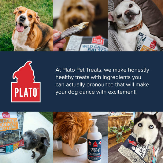 PLATO Pet Treats Fish Dog Treats - Air-Dried, Single Ingredient Dog Treat - with Omega 3 & 6 Fatty Acids to Support Skin and Coat - 100% Whole Fish - Wild Caught Baltic Sprat Dog Treats - 7.5 oz