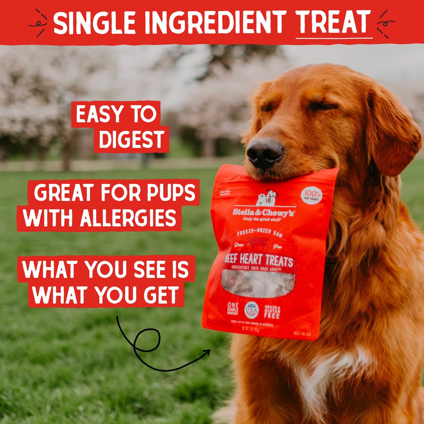 Stella & Chewy's Freeze-Dried Raw Beef Liver Dog Treats - Single Ingredient, No Additives - Premium Training Treats - Perfect For Picky Eaters - 3oz Bag