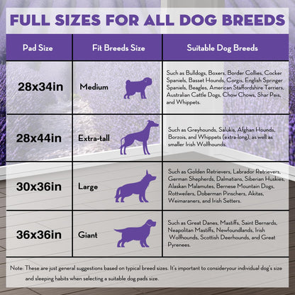 CROCI Dog Pads Lavender Scented 36x36in XXL Pee Pads with Odor Eliminating, Potty Pads Thicken Super Absorbent Up to 11 Cups Puppy Pads, Disposable (30 Counts) - topratednest