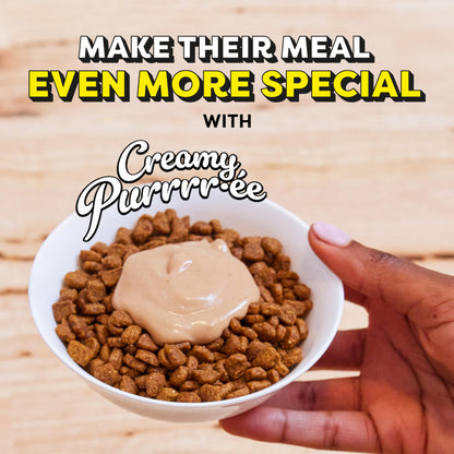 Temptations Creamy Puree with Salmon Lickable, Squeezable Cat Treats, 0.42 oz Pouches, 24 Count