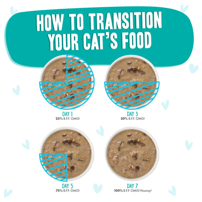 Weruva B.F.F. OMG - Best Feline Friend Oh My Gravy!, QT Patootie! with Chicken & Turkey in Gravy Cat Food, 5.5oz Can (Pack of 8)