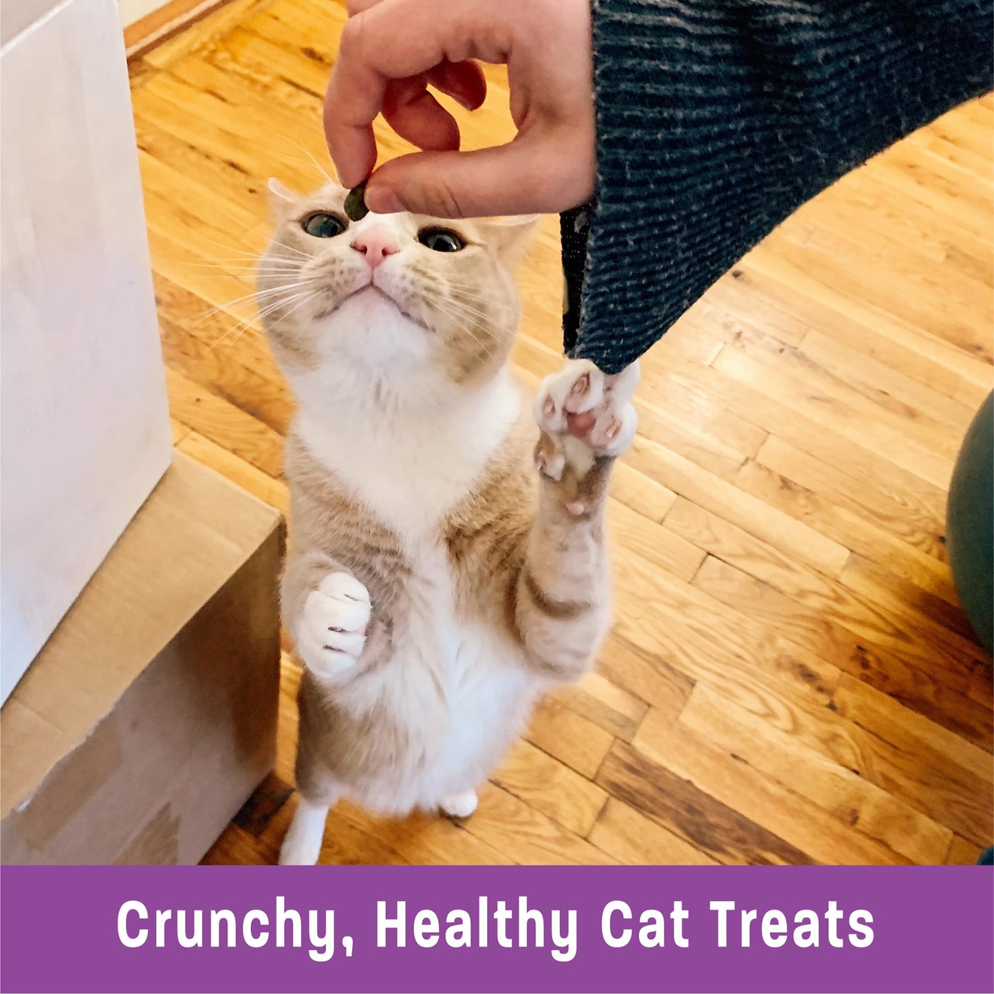 Wellness Kittles Crunchy Natural Grain Free Cat Treats, Tuna & Cranberry, 2-Ounce Bag (Pack of 2)
