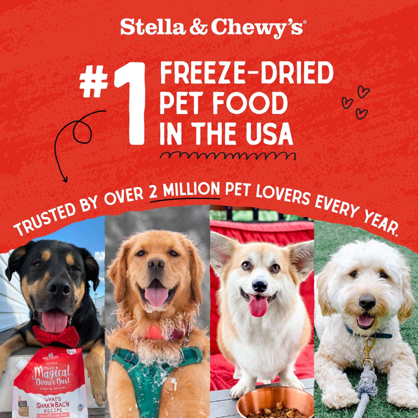 Stella & Chewy's Freeze-Dried Raw Beef Liver Dog Treats - Single Ingredient, No Additives - Premium Training Treats - Perfect For Picky Eaters - 3oz Bag