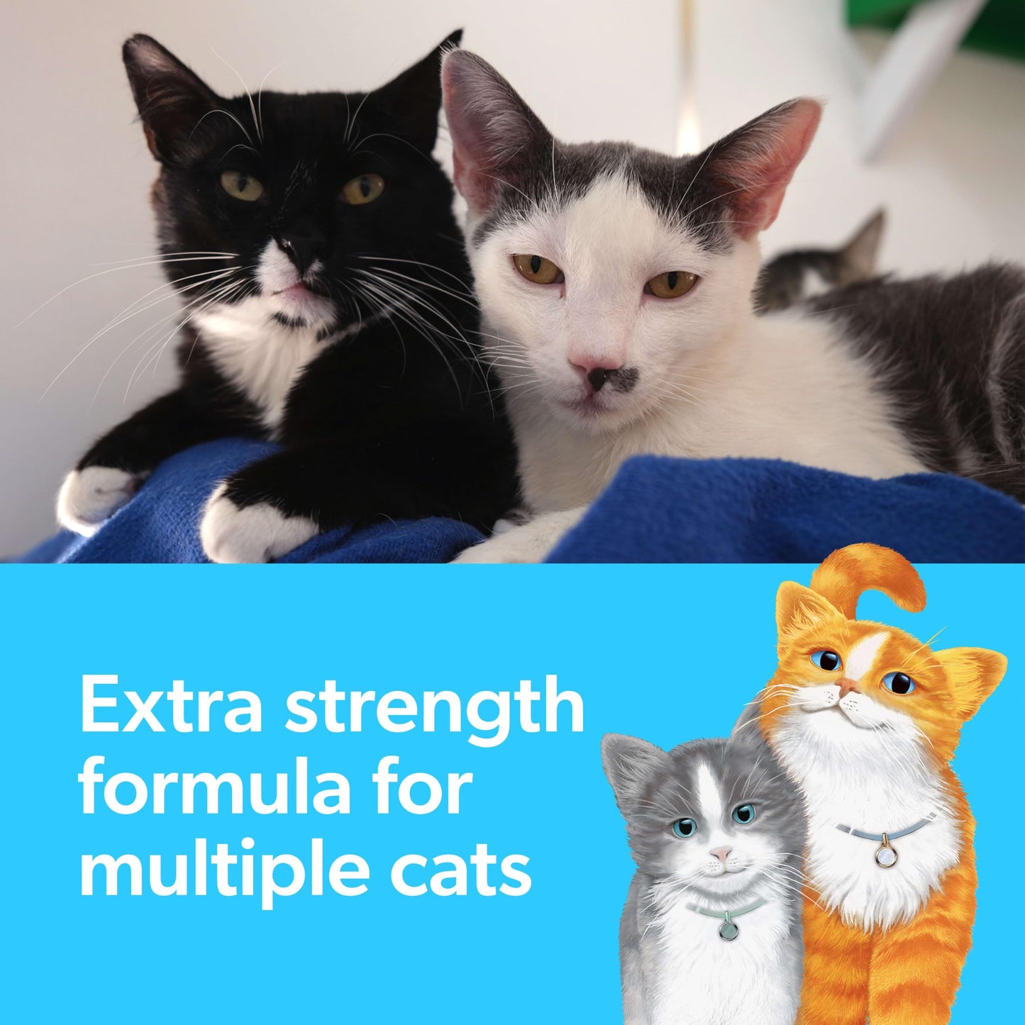 Fresh Step Clumping Cat Litter, Multi-Cat, Long Lasting Odor Control Kitty Litter with Activated Charcoal, Low Dust Formula, 14 lb
