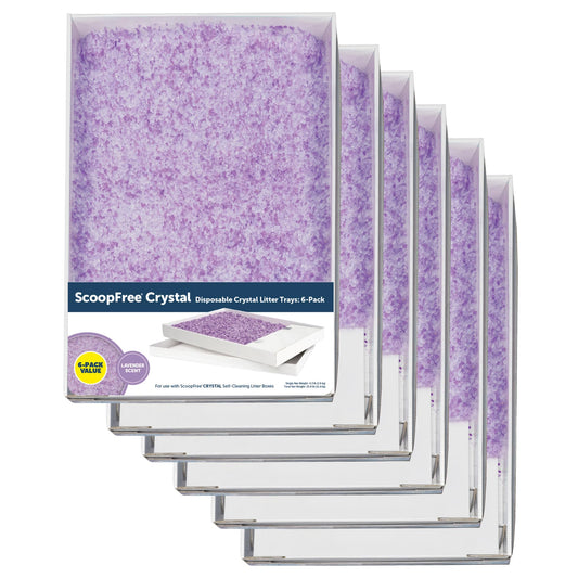 PetSafe ScoopFree Crystal Cat Litter & Refill Tray, Lavender Scent, 4.3 Lb Bag with Each Tray, Pack of 6