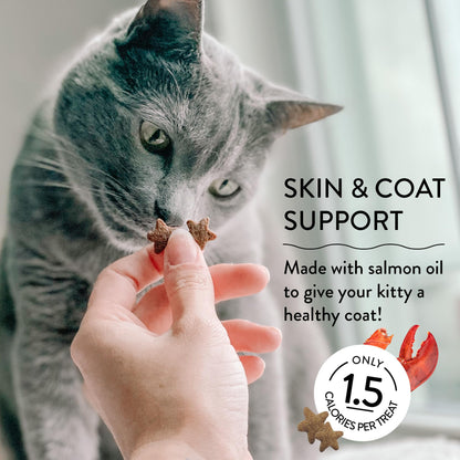 Shameless Pets Crunchy Cat Treats - Kitty Treats for Cats with Digestive Support, Natural Ingredients Kitten Treats with Real Tuna, Healthy Flavored Feline Snacks - Lobster & Cheese, 1-Pk