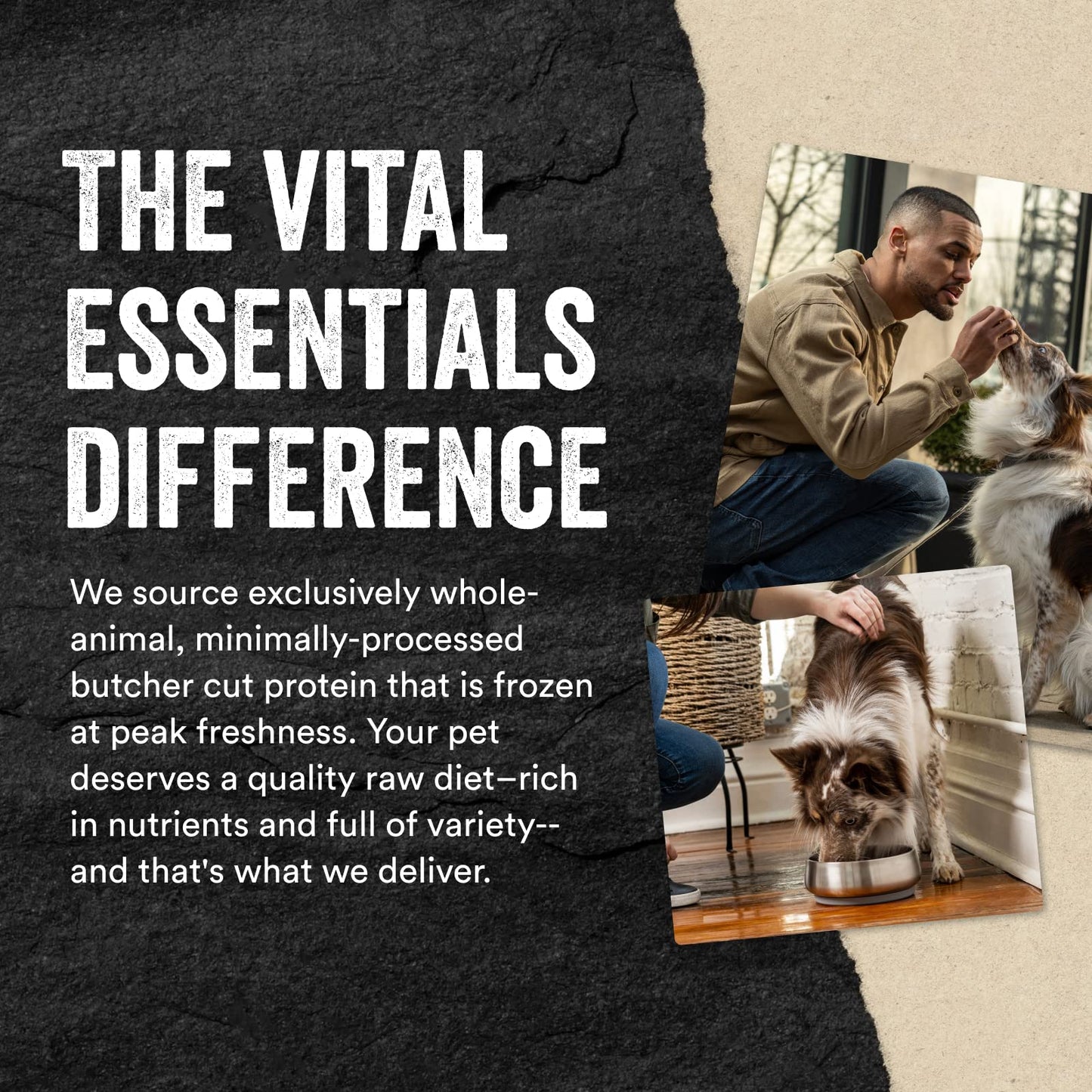 Vital Essentials Freeze Dried Raw Single Ingredient Dog Treats, Bully Sticks, 1.4 oz | Premium Quality High Protein Training Treats | Grain Free, Gluten Free, Filler Free
