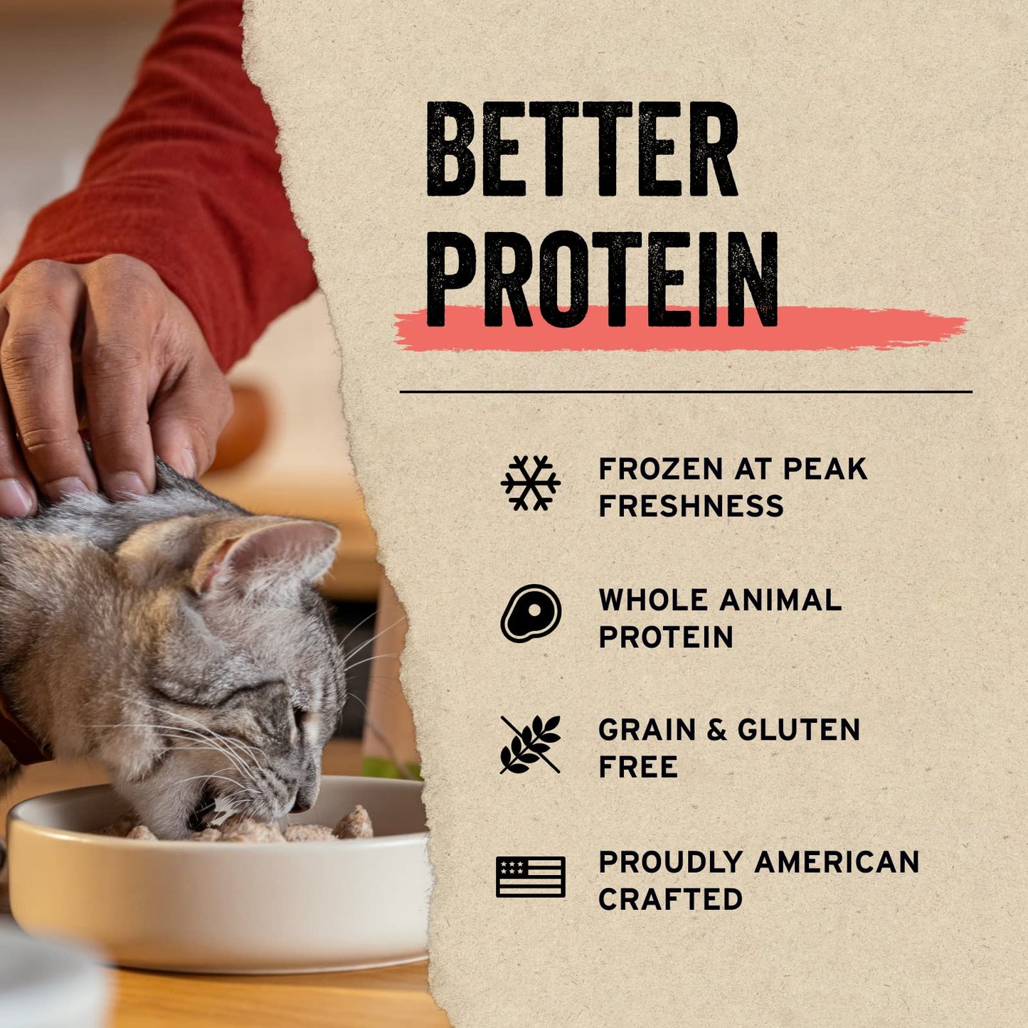 Vital Essentials Freeze Dried Raw Single Ingredient Cat Treats, Minnows, 1 oz (Package may vary)