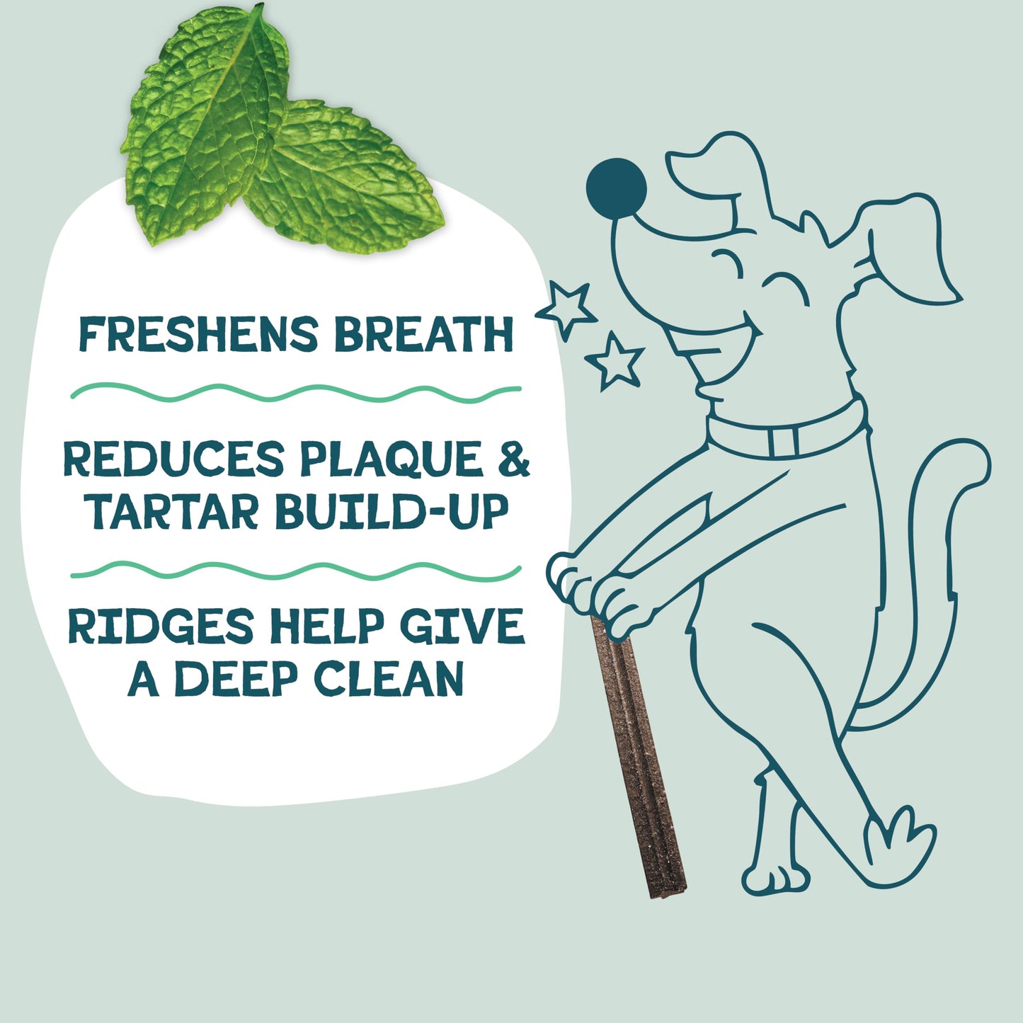Shameless Pets Dental Treats for Dogs, Carrate Chomp (32 Sticks) - Dental Sticks with Skin & Coat Support for Teeth Cleaning & Fresh Breath - Dog Bones Dental Chews Free from Grain, Corn & Soy