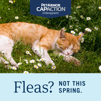 PetArmor CAPACTION (nitenpyram) Oral Flea Treatment for Cats, Fast Acting Tablets Start Killing Fleas in 30 Minutes, Cats 2-25 lbs, 6 Doses